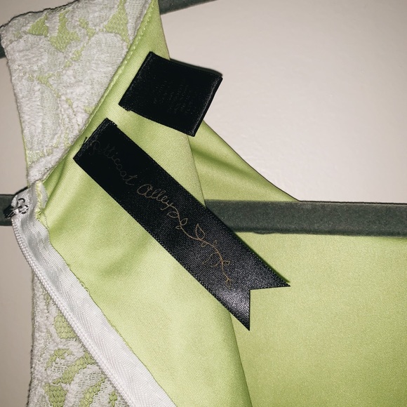 Petticoat Alley Lace Dress - Picture 5 of 5